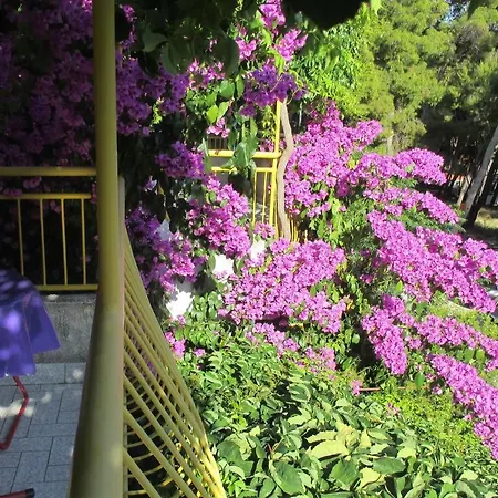Ivan Dolac 4584c Apartament